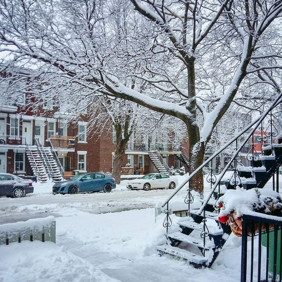 Meet your Posher, Miriam - Picture 1 of 1